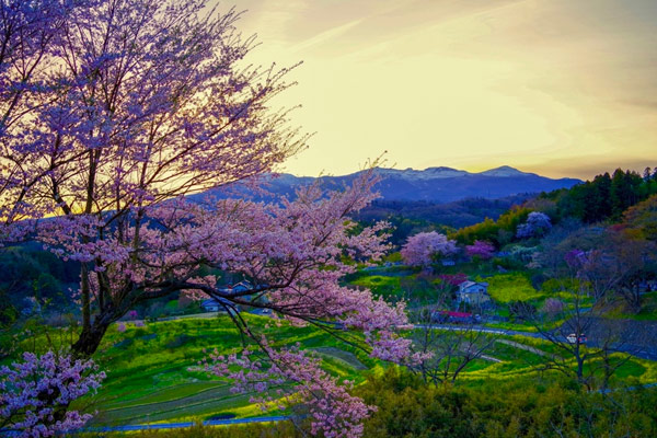The natural beauty of Japan