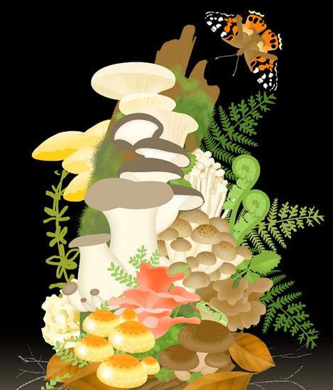 Salai mushroom illustration